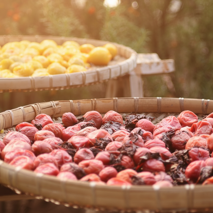 練り梅チューブ (7oz / 200g)