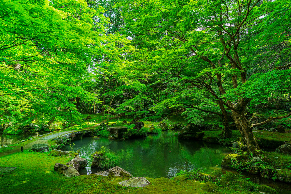 Soil. Water. Climate. Nourishment. We obsess over every single element.
