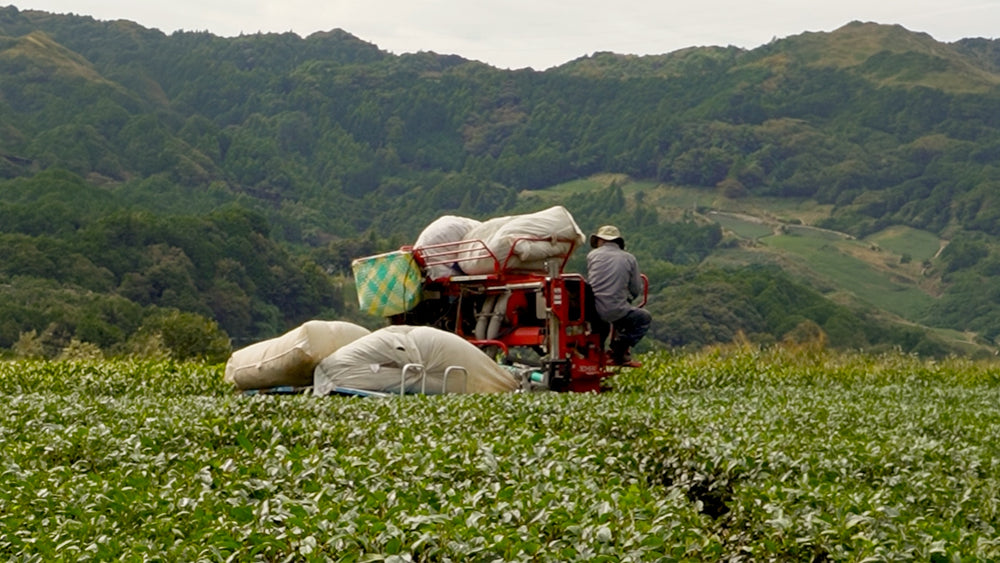 Harvest